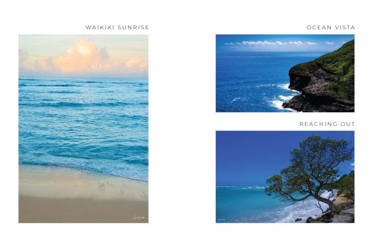 6x9-booklet-v3_page_03