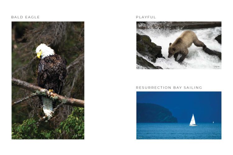 6x9-booklet-v3_page_08