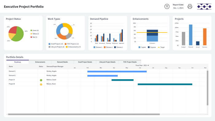 hawaiian-electric-executive-project-portfolio-roadmap-v1.1 hawaiian-electric-executive-project-portfolio-roadmap-v1.1